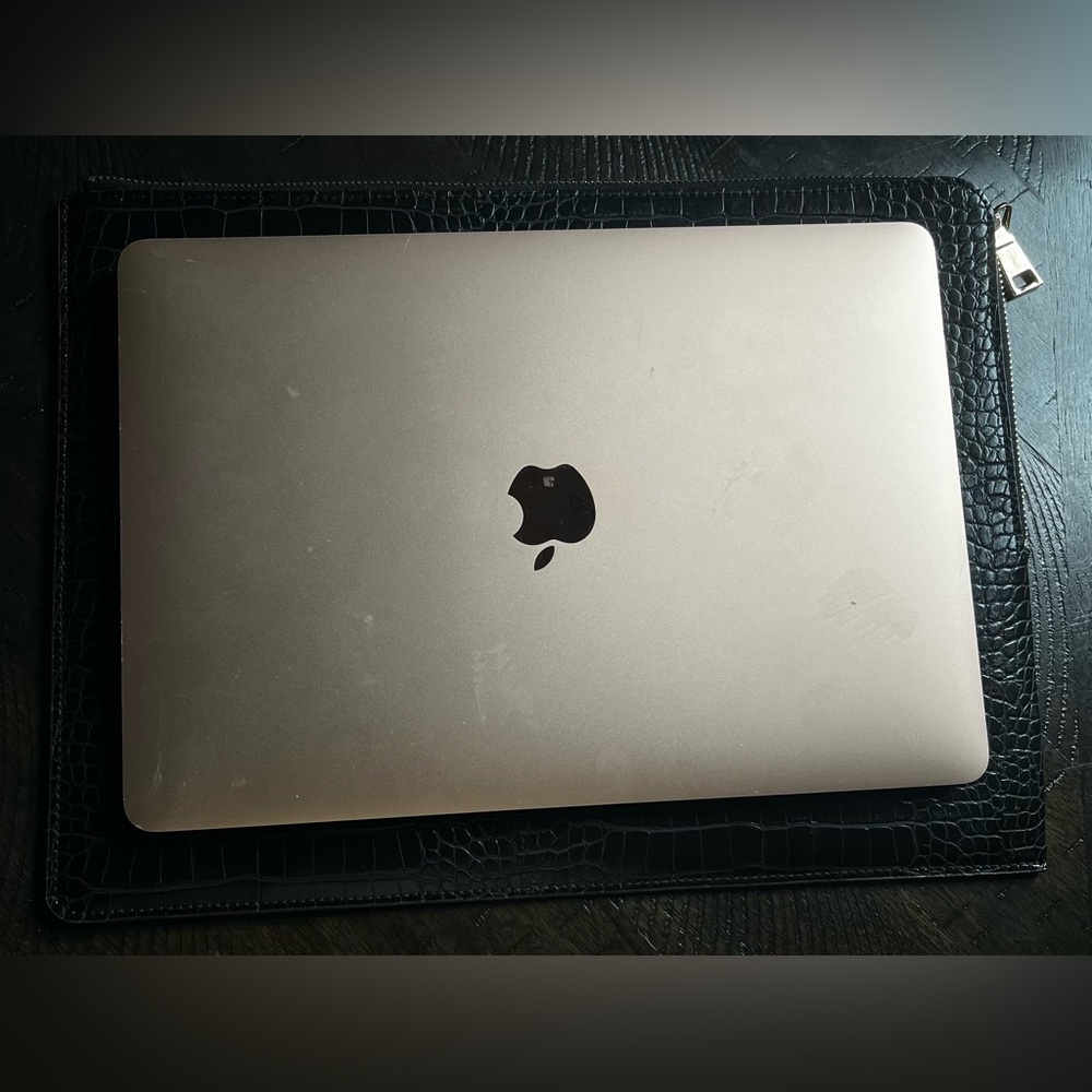 H&M Laptop Case
